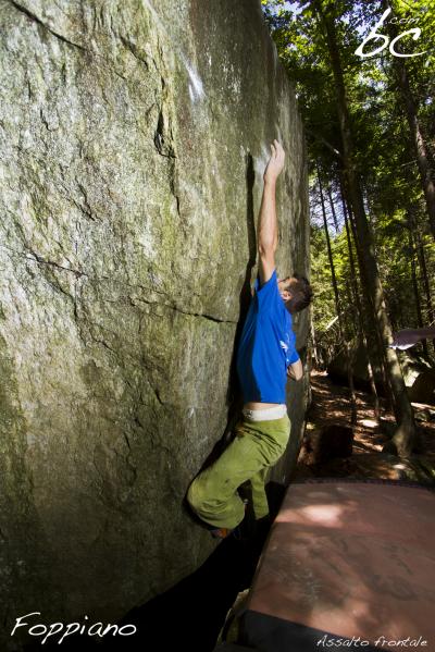 Ale in "Assalto frontale"